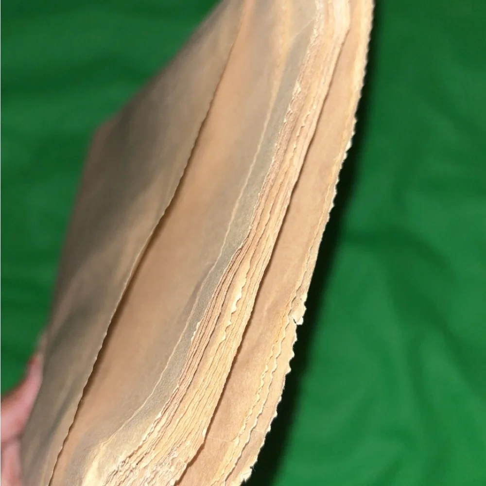 New Set of 10+ small Brown Paper Bags